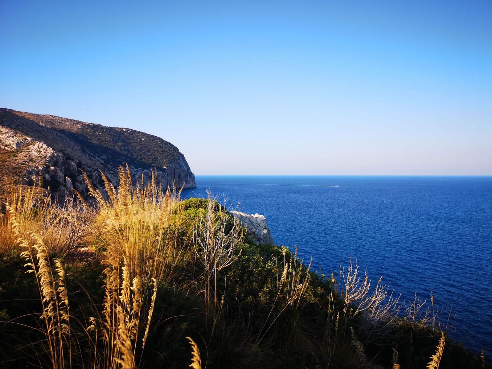 Capo Figari